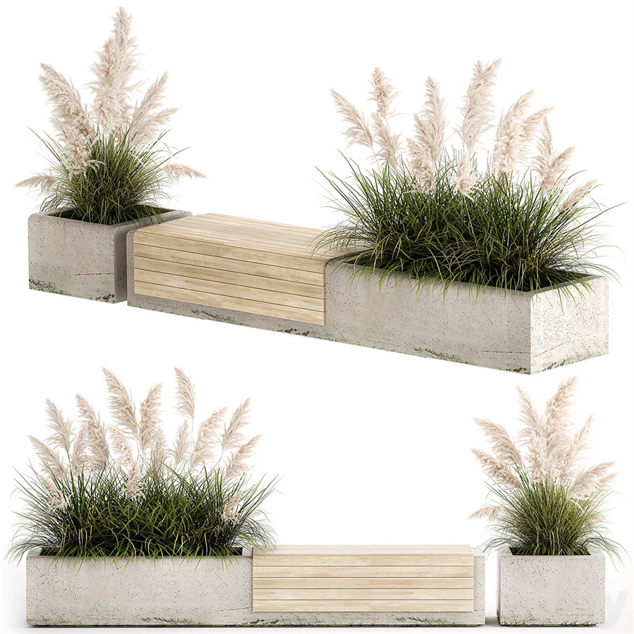 Bench flowerbed for the urban environment in a concrete flowerpot with bushes of reeds and pampas grass, Cortaderia. 1144.