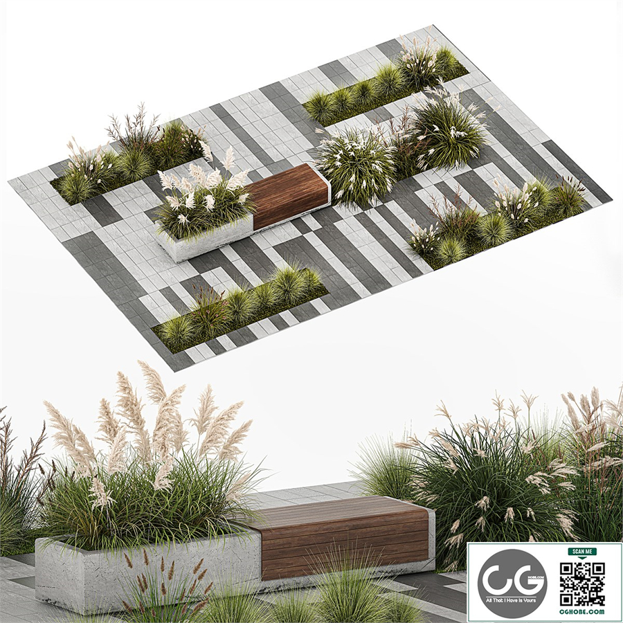 Flower bed with feather grass bushes, Miscanthus, Cortaderia and white pampas grass, bench and bench paving slabs. 1147.