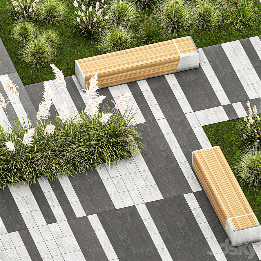 Plants for the urban environment with paving slabs, bench, bench, pampas grass bushes, Cortaderia. 1151.