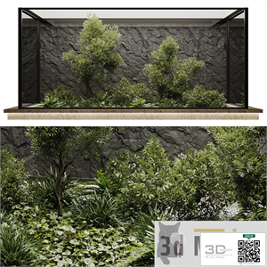 indoor plant set 50