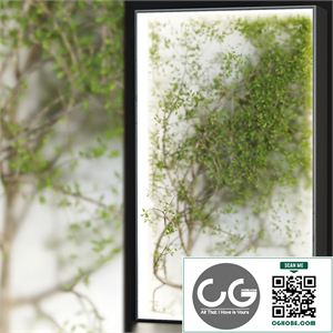Plants in the light box vol 176