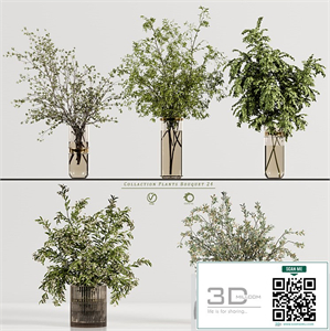 Collaction Plants Bouquet 24