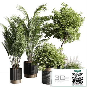 indoor plant set 57