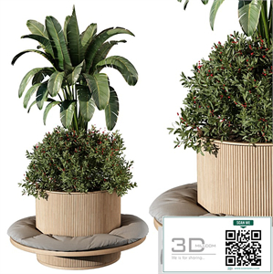 indoor Plant 249