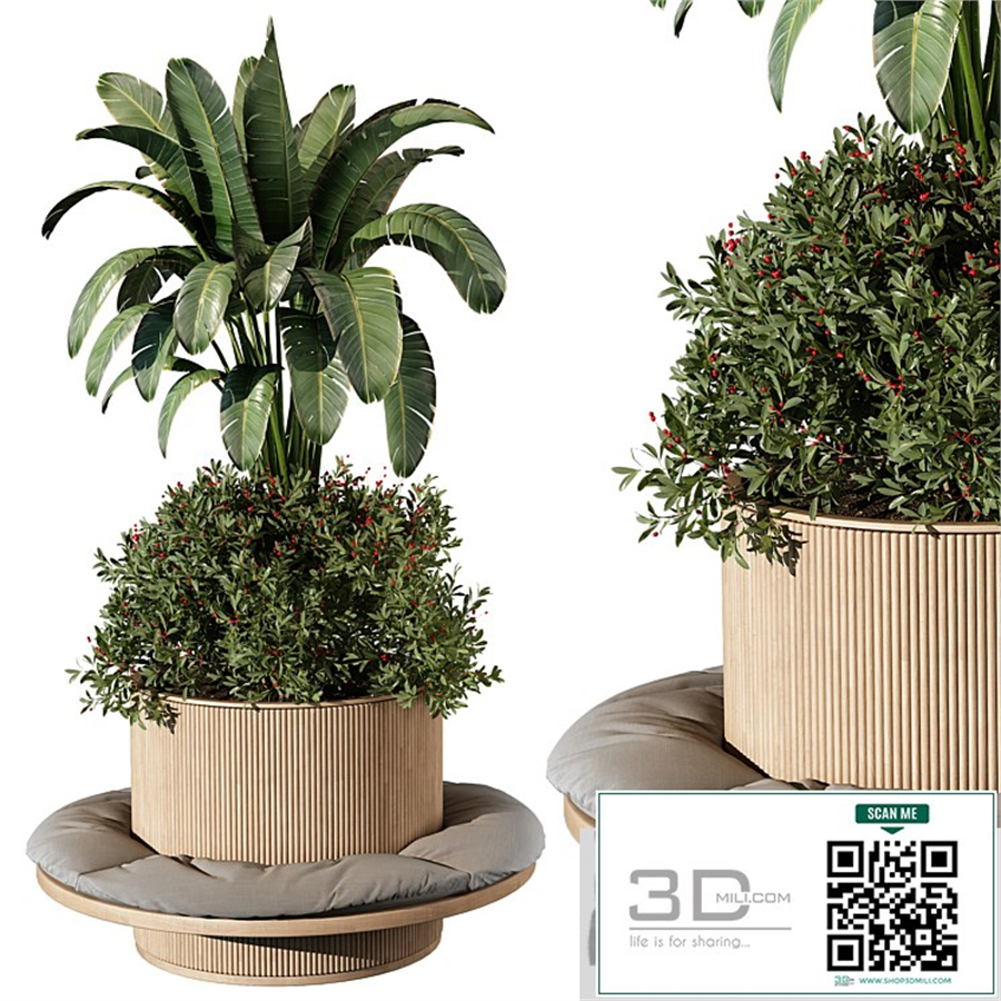 indoor Plant 249
