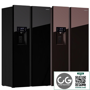 Hiberg RFS 650DX refrigerator
