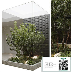 indoor plant set 60