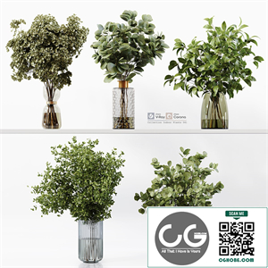 Collection Indoor Plants 041