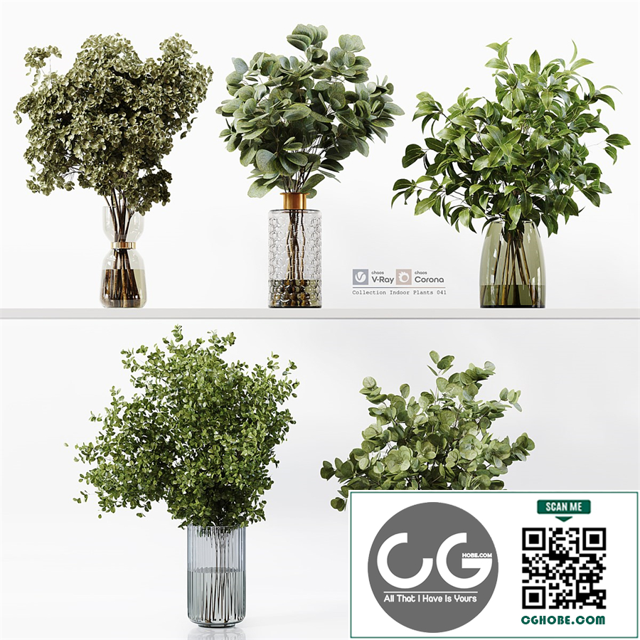 Collection Indoor Plants 041