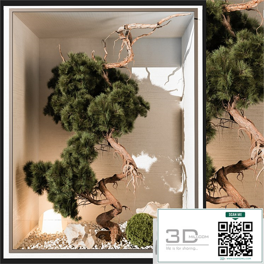 indoor Plant 252