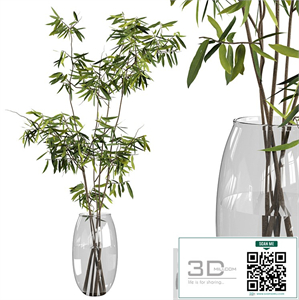 Ficus branches bouquet set 01