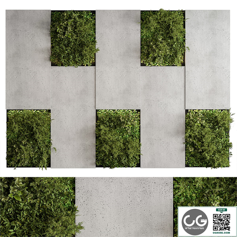 Vertical Garden - Green Wall 77