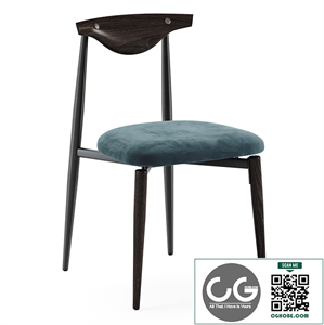 Vicuna dining chair by District Eight
