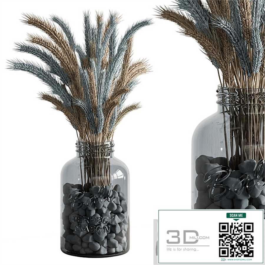 Dry plants 101 - Wheat