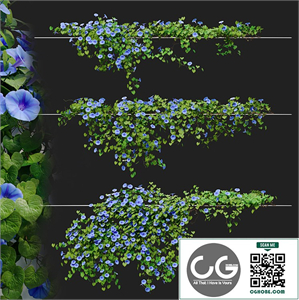Hanging plant 41