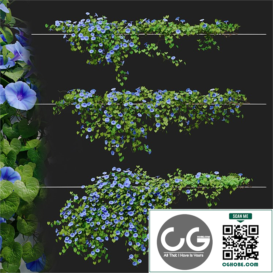 Hanging plant 41