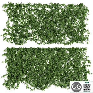 Wall of ivy leaves v2