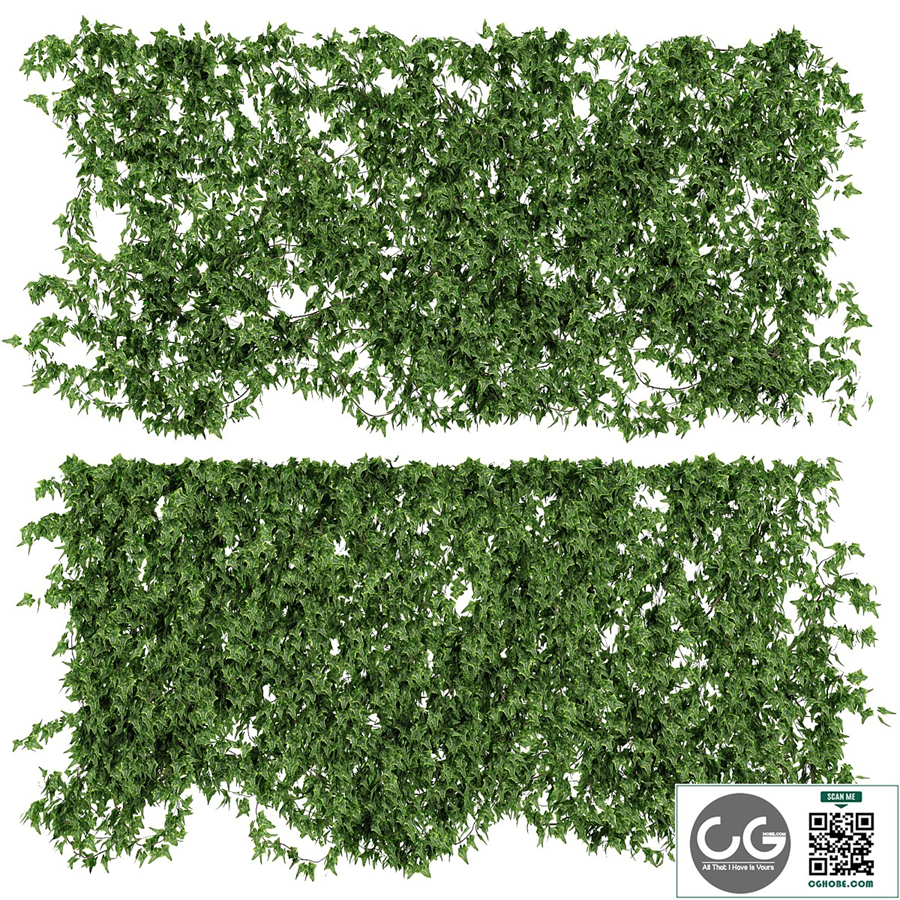 Wall of ivy leaves v2