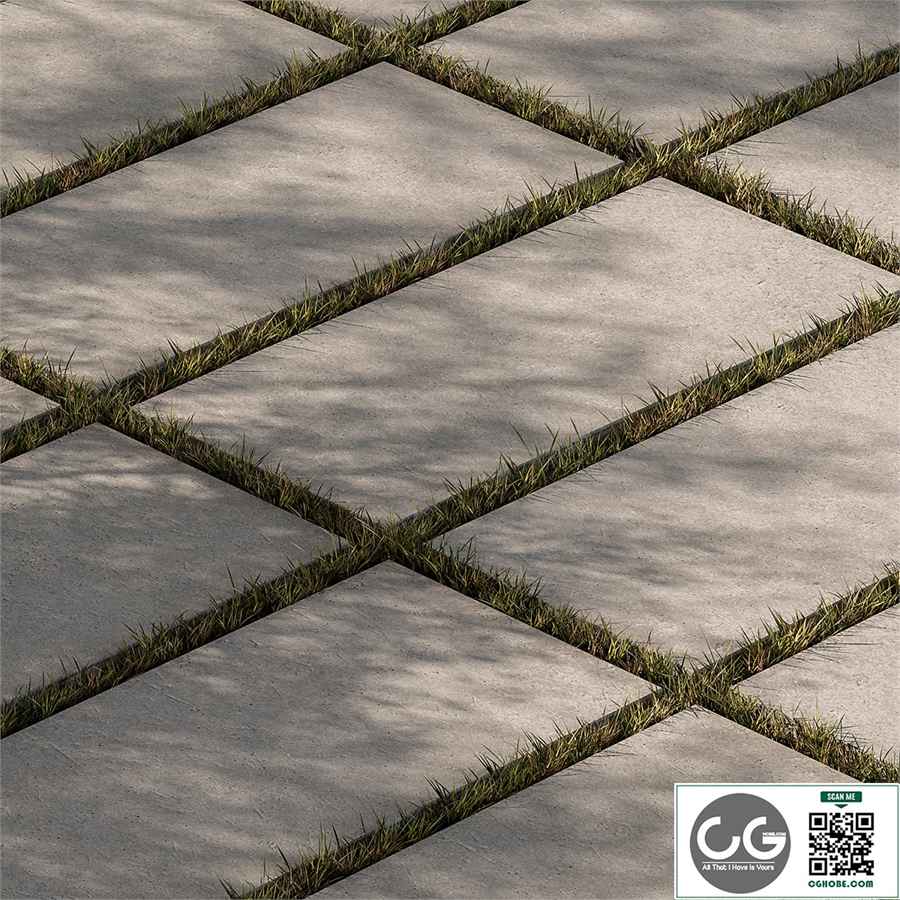Concrete Slab with Grass - Paving 03