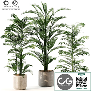 Indoor Plant Set 01