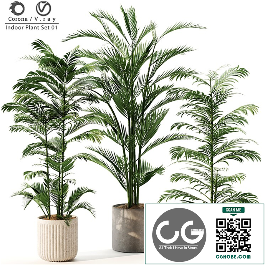 Indoor Plant Set 01