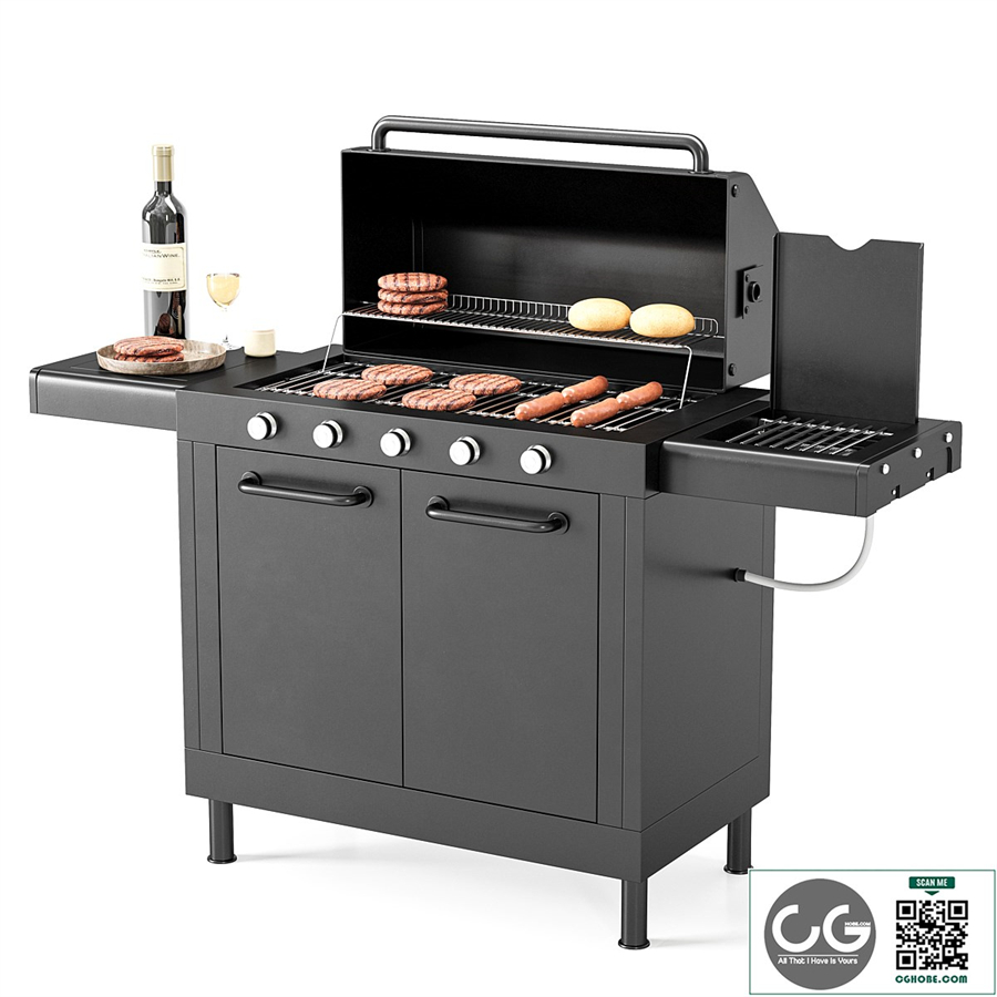 Barbecue 43