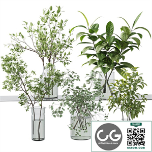 Collection Green Plants Bouquet Indoor 34