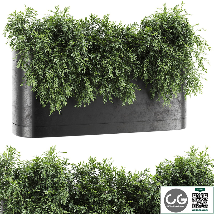 Plant Set 57