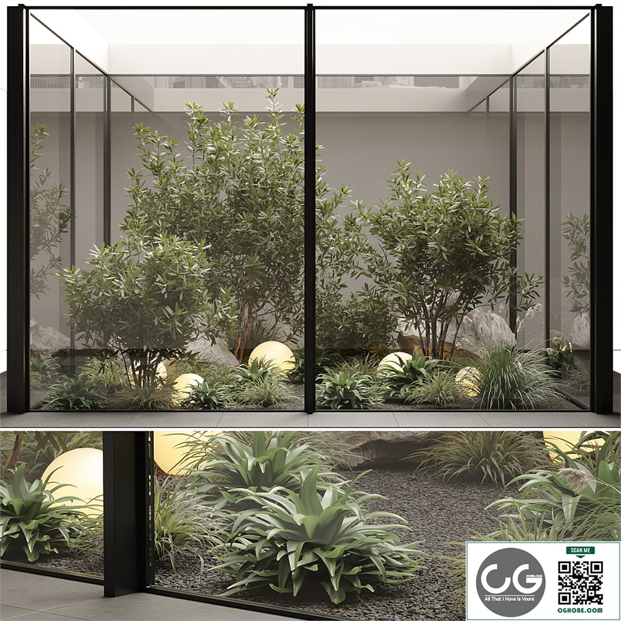 indoor plant set 70