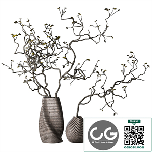 Dry branches with leaves in decorative vases