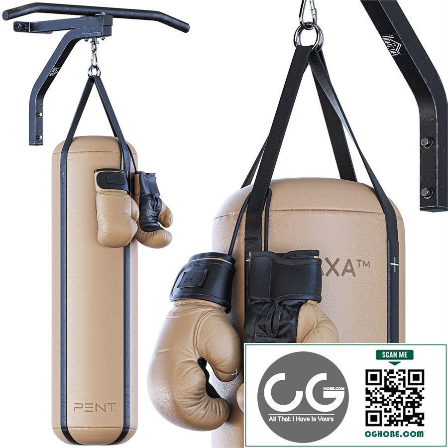 PENT Boxing Set