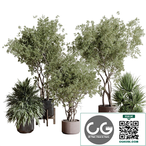 indoor plant set 408 plant tree palm bush concrete dirt vase vray