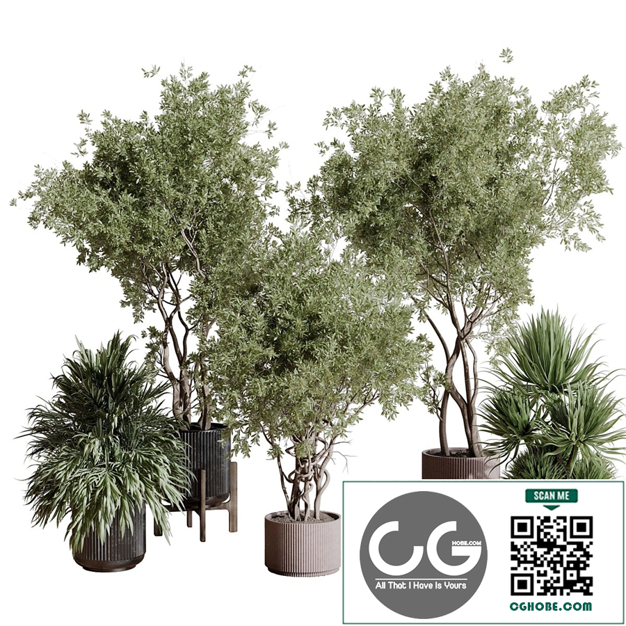 indoor plant set 408 plant tree palm bush concrete dirt vase vray