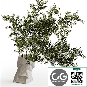 Paper Bag vase by Serax with branches