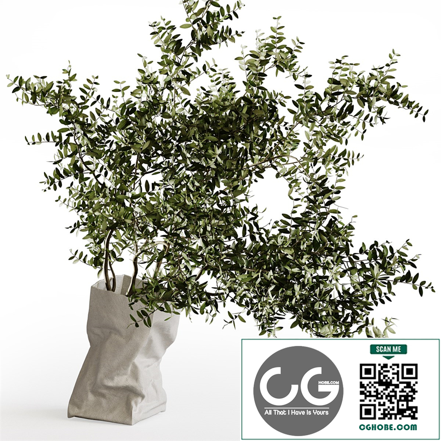 Paper Bag vase by Serax with branches