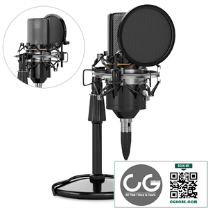 Condenser Microphone