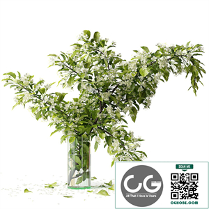 Bouquet blooming branch, spring flowers in a glass vase