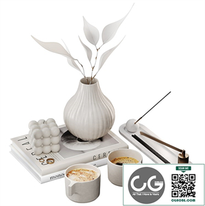 Decorative set for coffee table 06