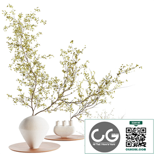 plants_collection_set_5