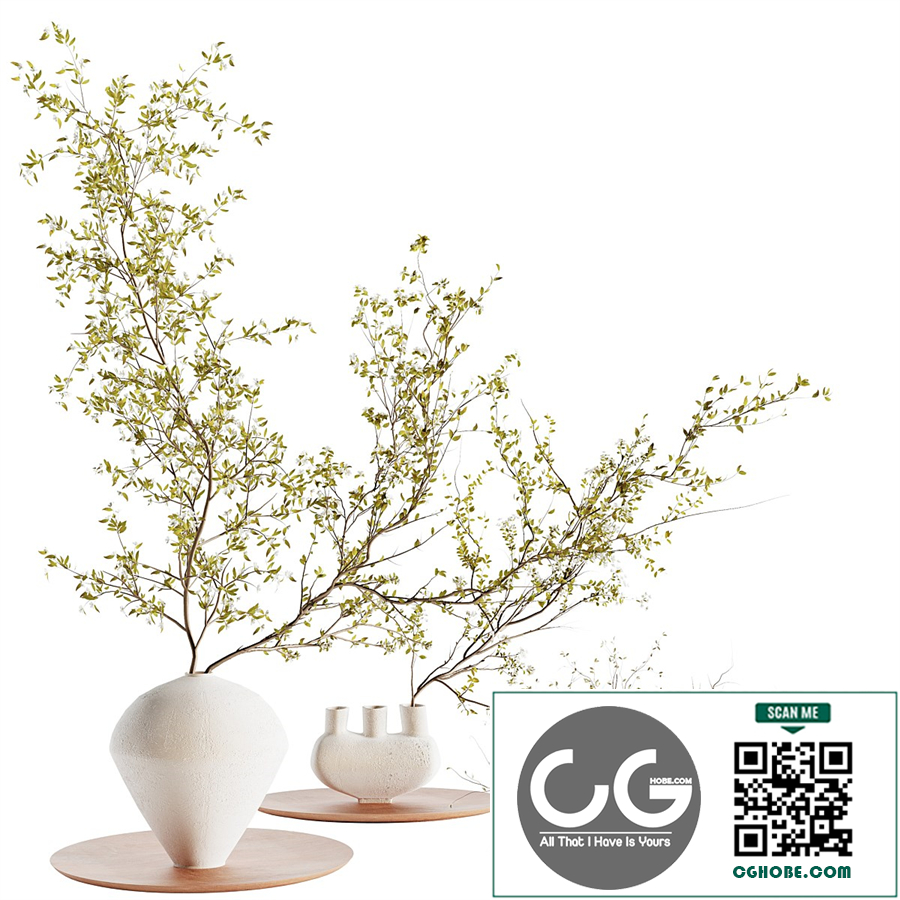 plants_collection_set_5