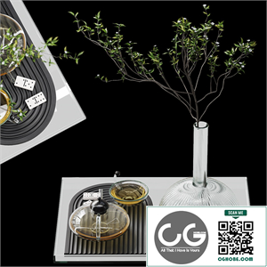 Decorative set for coffee table 12