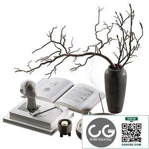 Decorative set for coffee table 47