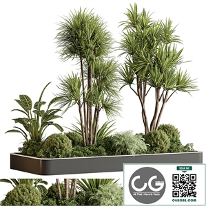 indoor Plant 611 - Plant Box