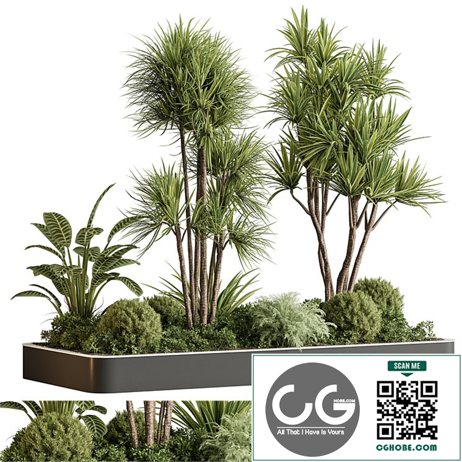 indoor Plant 611 - Plant Box
