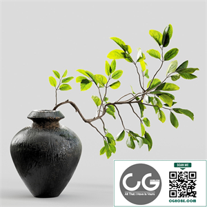 Branches in vases 10