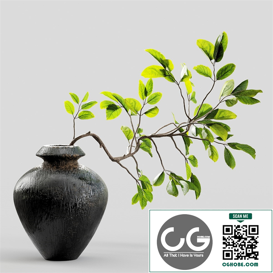Branches in vases 10