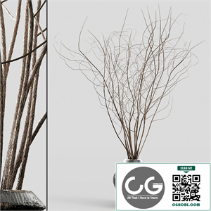 Branches in vases 11