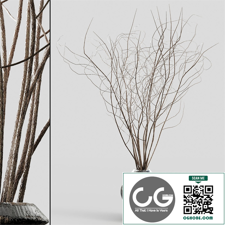 Branches in vases 11