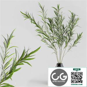 Branches in vases 16