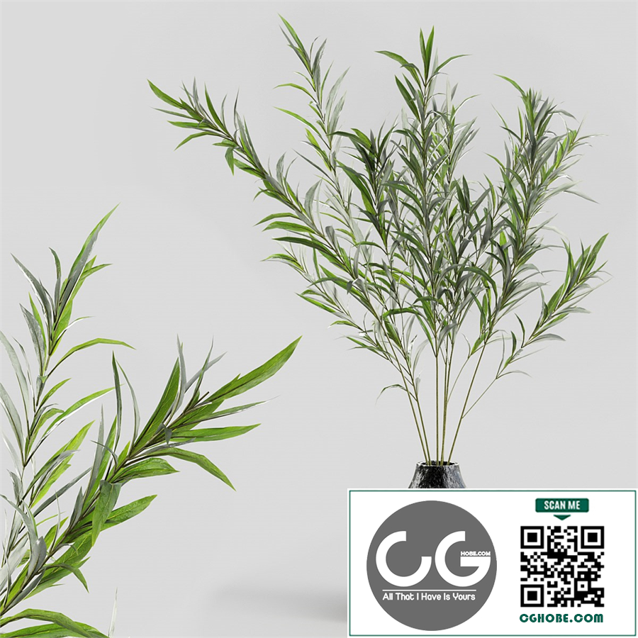 Branches in vases 16